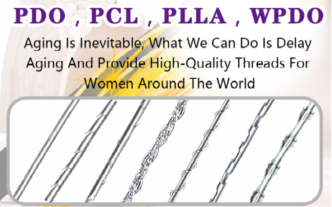 Thread Absorbable Rhinoplasty Plla nose lift cog thread Rhinoplasty thread absorbable suture 19g 38mm ...